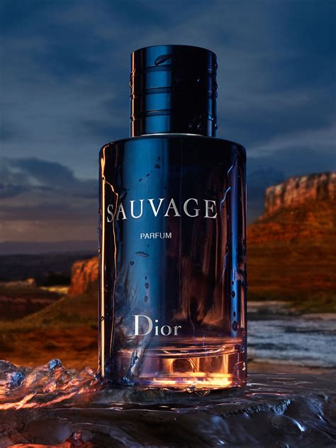 erkek parfüm dior sauvage|sauvage eau de parfum.